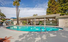 Best Western Plus Black Oak